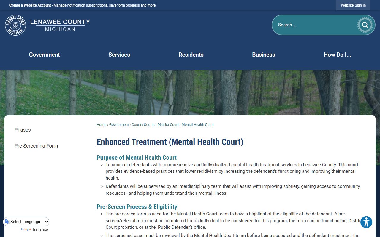 Lenawee County arrest and court charge Mental Health Court page